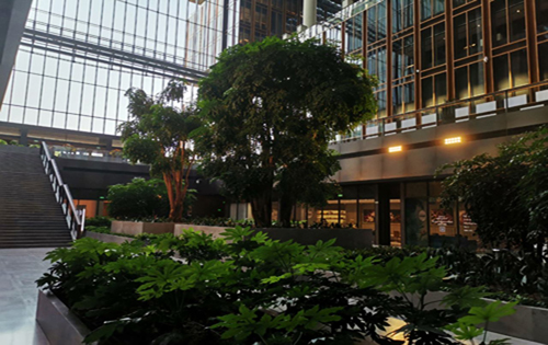 亚洲金融大厦内景